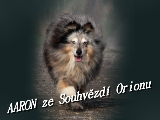 fotomon_chov_aaron_ze_souhvezdi_orinu.jpg